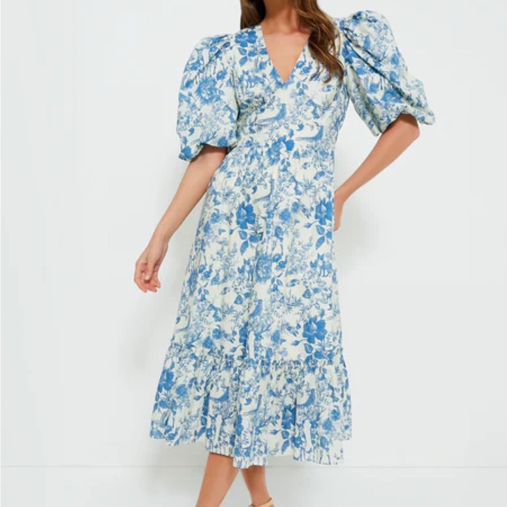 NWT Hyacinth House Blue Woodland Floral Lindley Dress